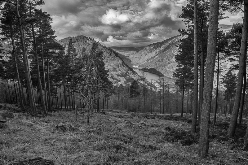 Glendalough_280216_3_800px.jpg