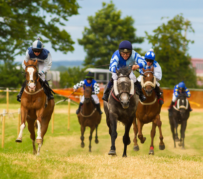 Pony_Racing_210615_800px_1.jpg