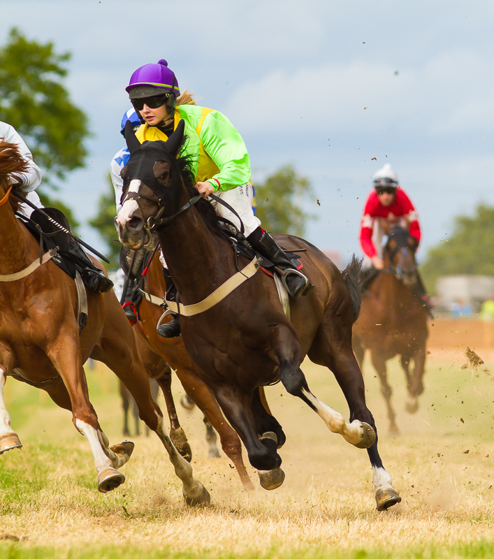 Pony_Racing_210615_800px_5.jpg
